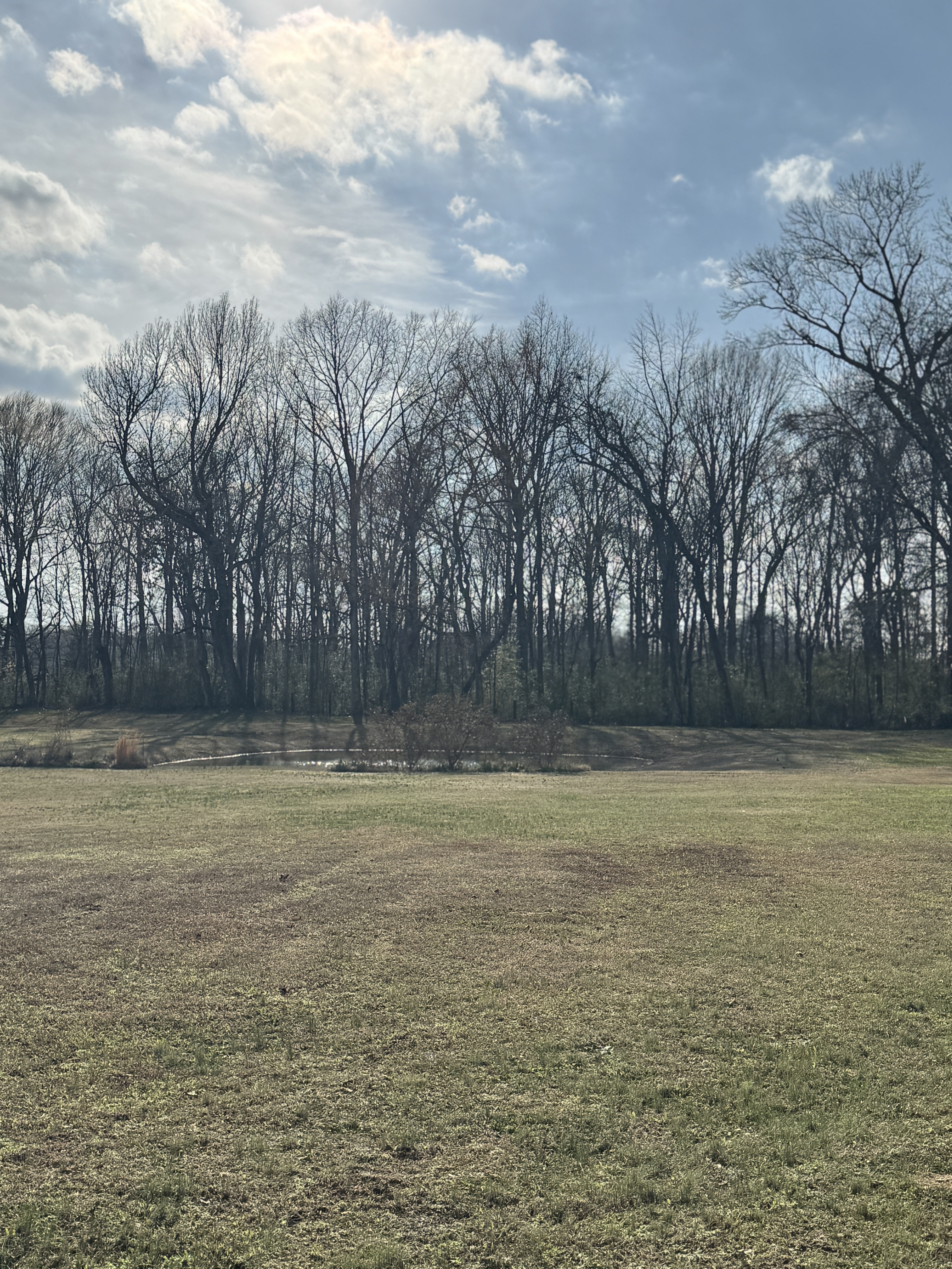 Pond and open land at Magnolia Spring Farm